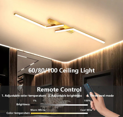 LumeSmart Adjustable Ceiling Light